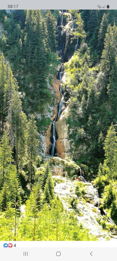 Отель Cabana Cascada Cailor Борша Экстерьер фото